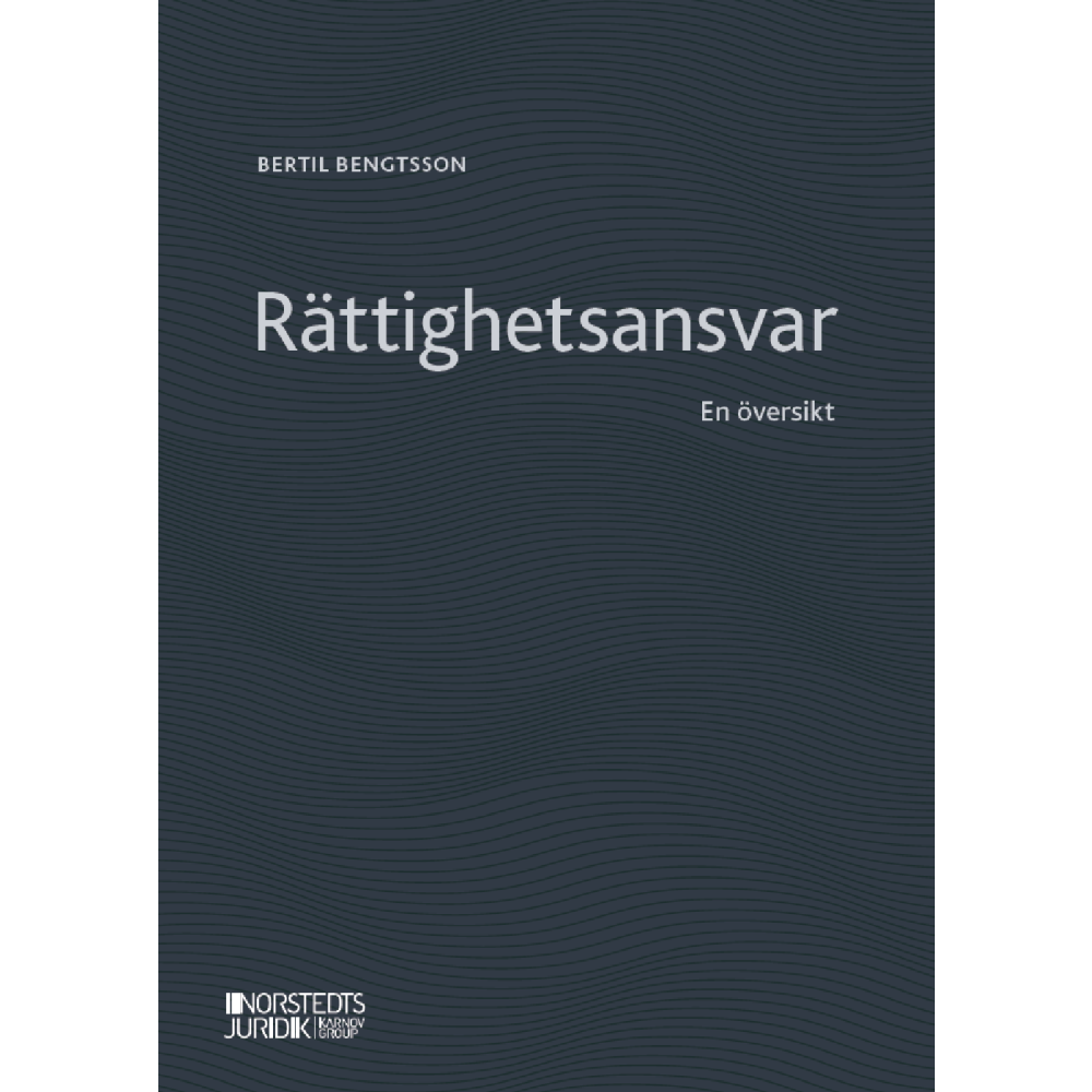 Produktbild för Rättighetsansvar : en översikt (häftad)