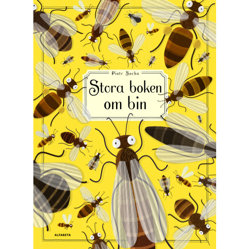 Piotr Socha Stora boken om bin (inbunden)