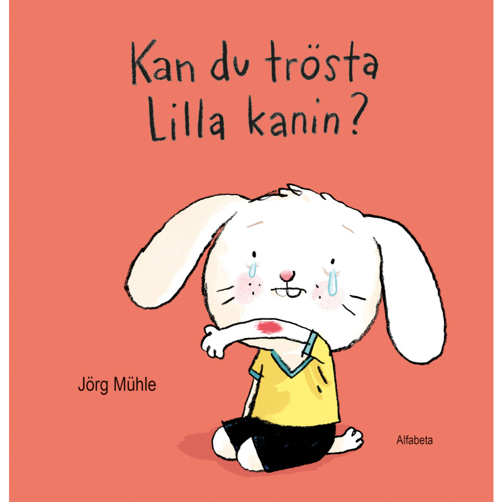 Produktbild för Kan du trösta Lilla kanin? (bok, board book)