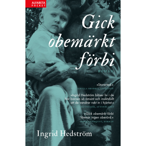 Ingrid Hedström Gick obemärkt förbi (pocket)