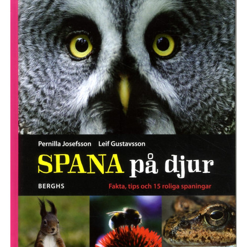 Pernilla Josefsson Spana på djur (inbunden)