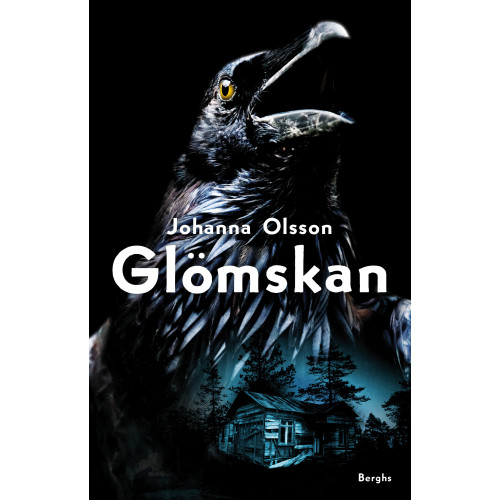 Johanna Olsson Glömskan (bok, kartonnage)