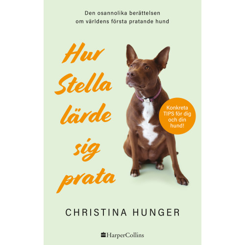 Christina Hunger Hur Stella lärde sig prata (inbunden)