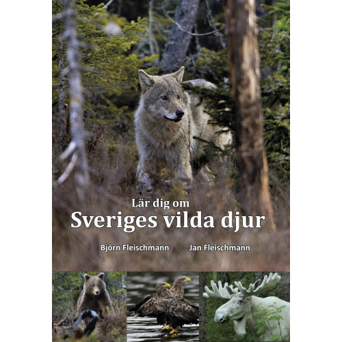 Björn Fleischmann Lär dig om Sveriges vilda djur (häftad)