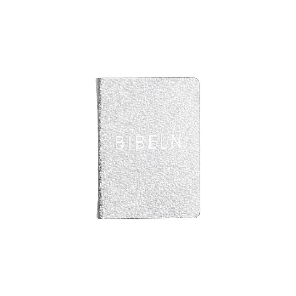 Produktbild för Bibel konfirmand silver (häftad)