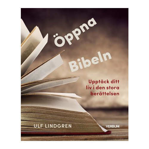 Ulf Lindgren Öppna Bibeln : upptäck ditt liv i den stora berättelsen (häftad)