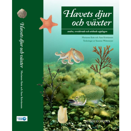 Marianne Køie Havets djur och växter (bok, flexband)