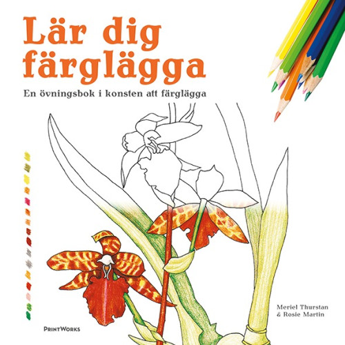 Meriel Thurstan Lär dig färglägga : en övningsbok i konsten att färglägga (häftad)