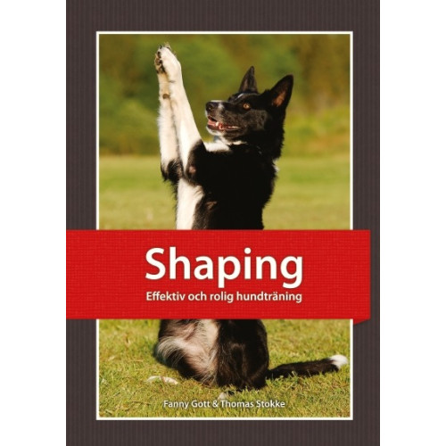 Fanny Gott Shaping : effektiv och rolig hundträning (häftad)