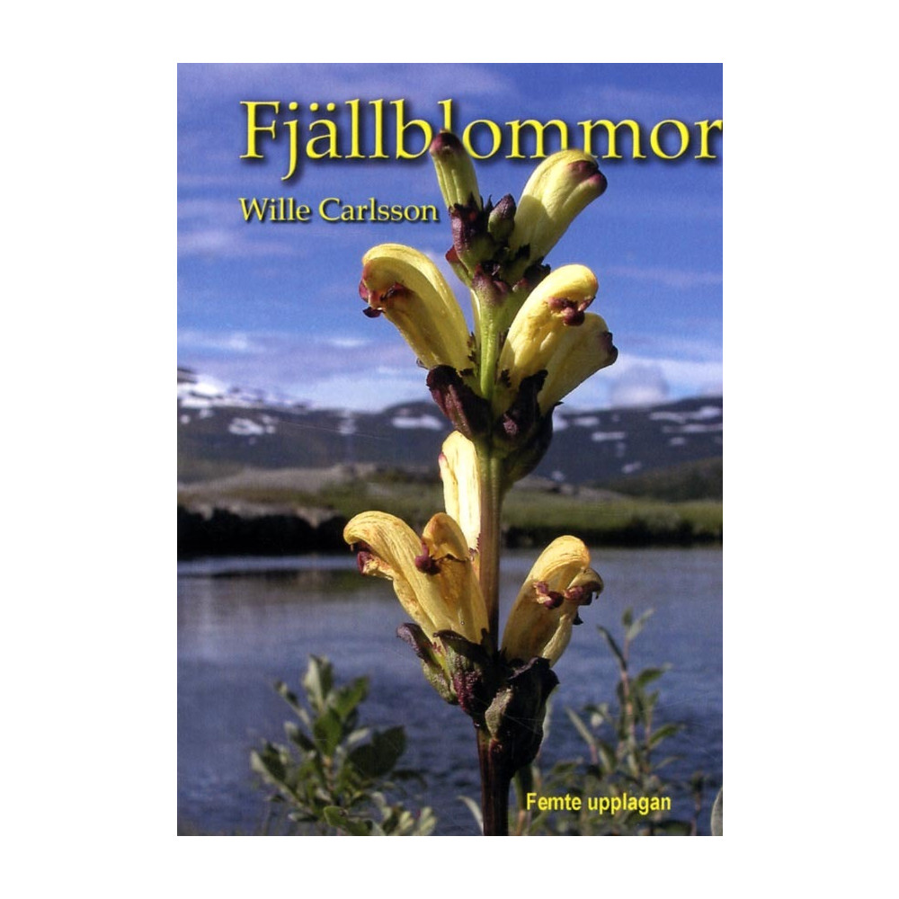 Produktbild för Fjällblommor (häftad)