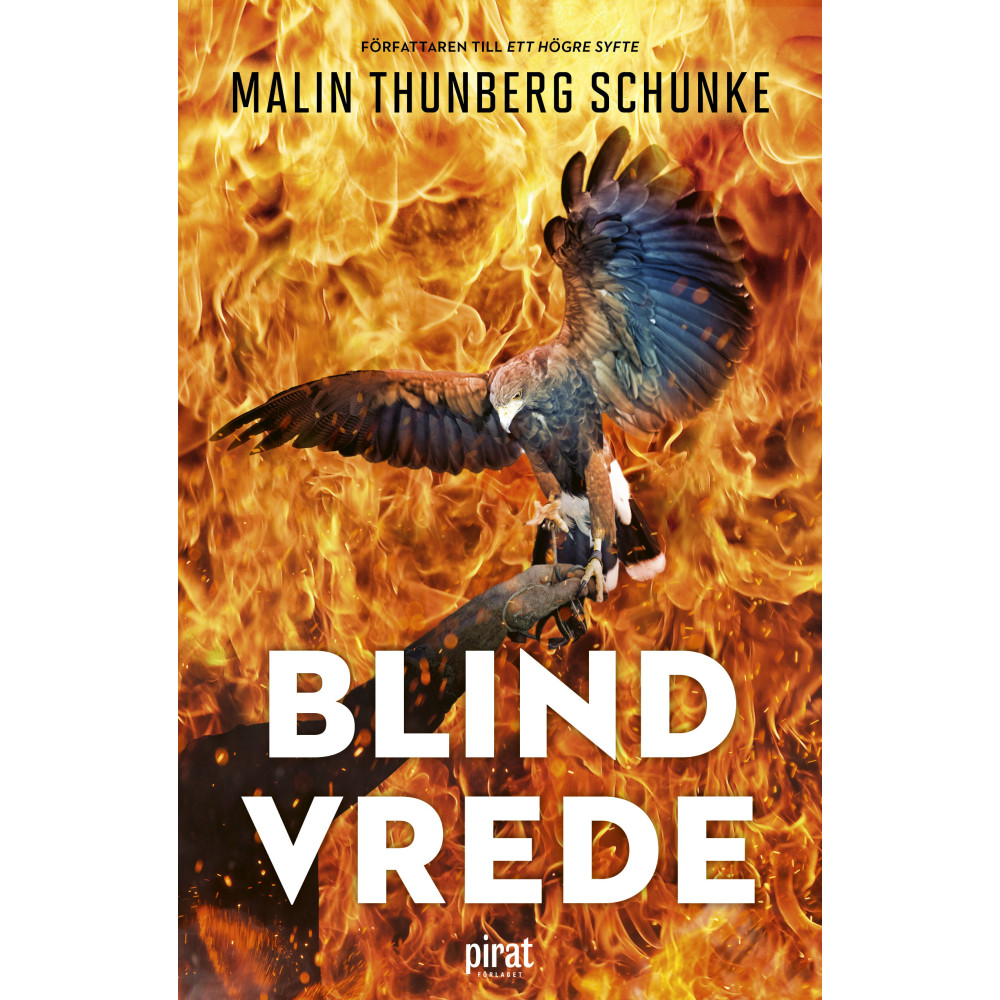 Produktbild för Blind vrede (inbunden)