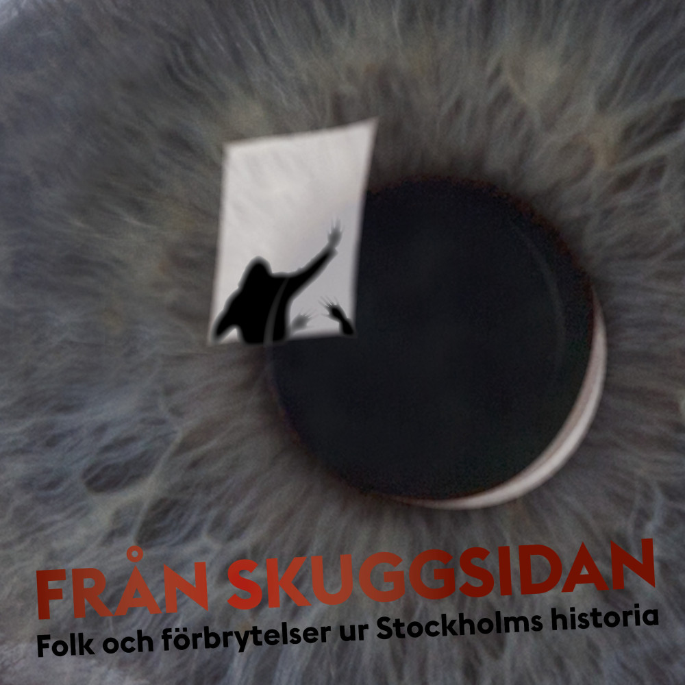 Produktbild för Från skuggsidan : folk och förbrytelser ur Stockholms historia (häftad)