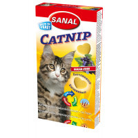 Miniatyr av produktbild för Catnip