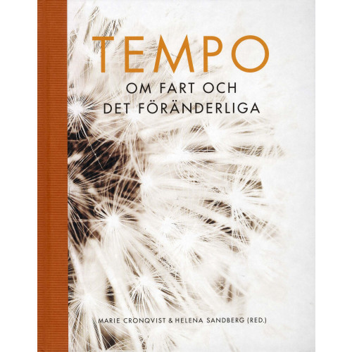 Makadam förlag Tempo : om fart och det föränderliga (inbunden)