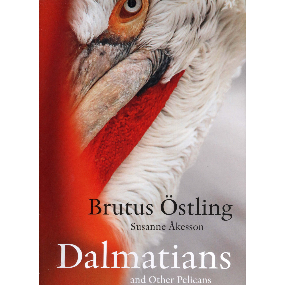 Produktbild för Dalmatians and other pelicans (inbunden, eng)