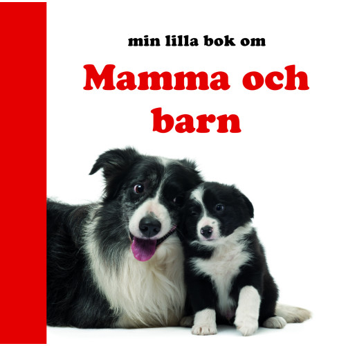 Globe förlaget Min lilla bok om Mamma och barn (bok, board book)
