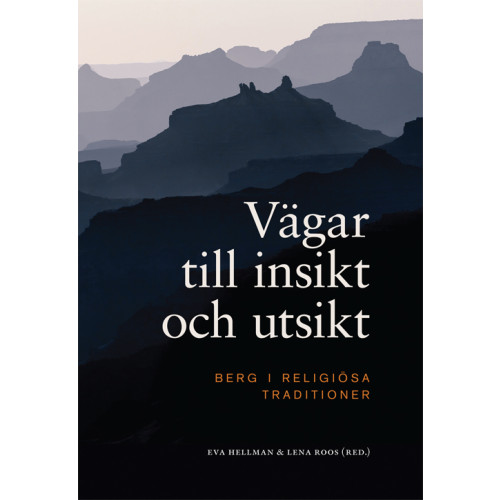 Artos & Norma Bokförlag Vägar till insikt och utsikt : berg i religiösa traditioner (bok, danskt band)