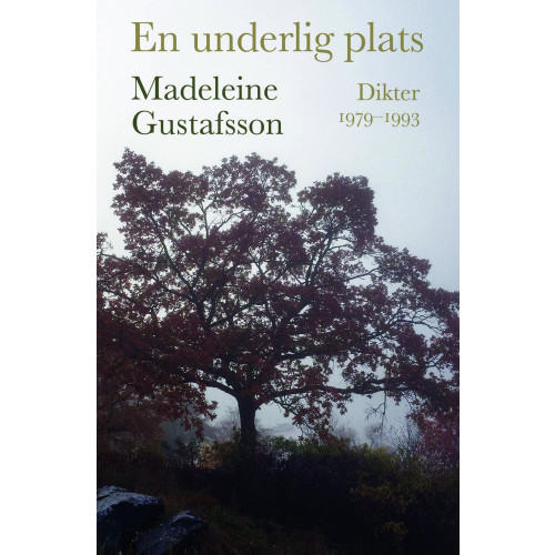 Madeleine Gustafsson En underlig plats : dikter 1979-1993 (bok, danskt band)