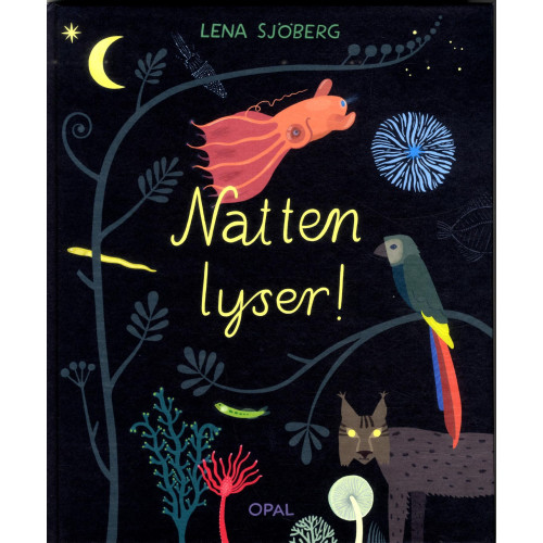 Lena Sjöberg Natten lyser! (inbunden)