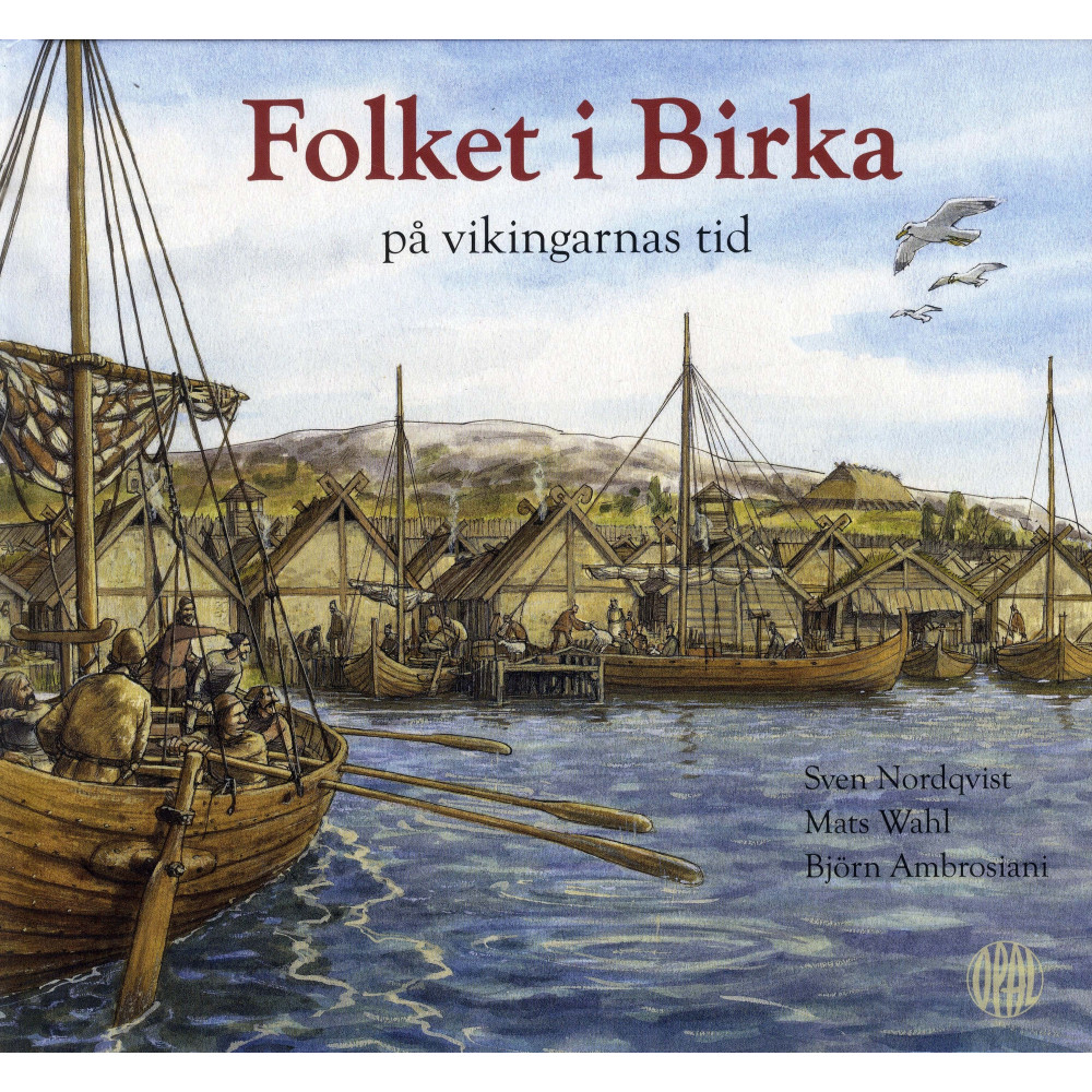 Produktbild för Folket i Birka : på vikingarnas tid (inbunden)