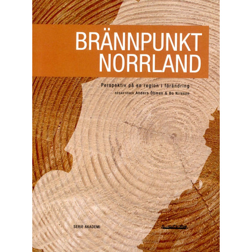 H:ström Text & Kultur Brännpunkt Norrland : perspektiv på en region i förändring (bok, danskt band)