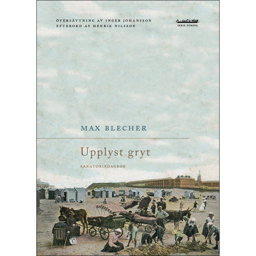 Max Blecher Upplyst gryt : sanatoriedagbok (bok, danskt band)