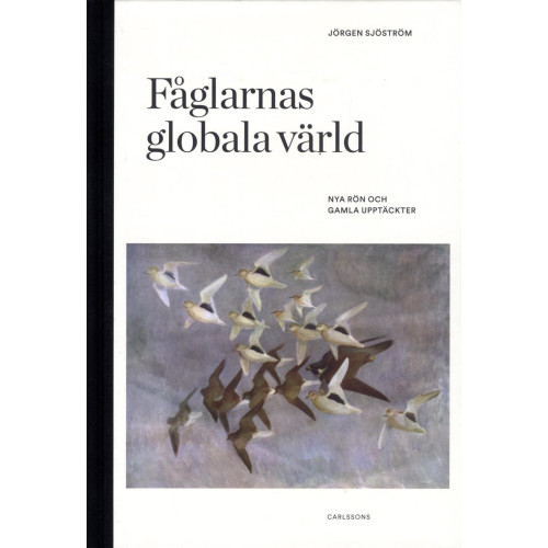 Jörgen Sjöström Fåglarnas globala värld : nya rön och gammal kunskap (inbunden)