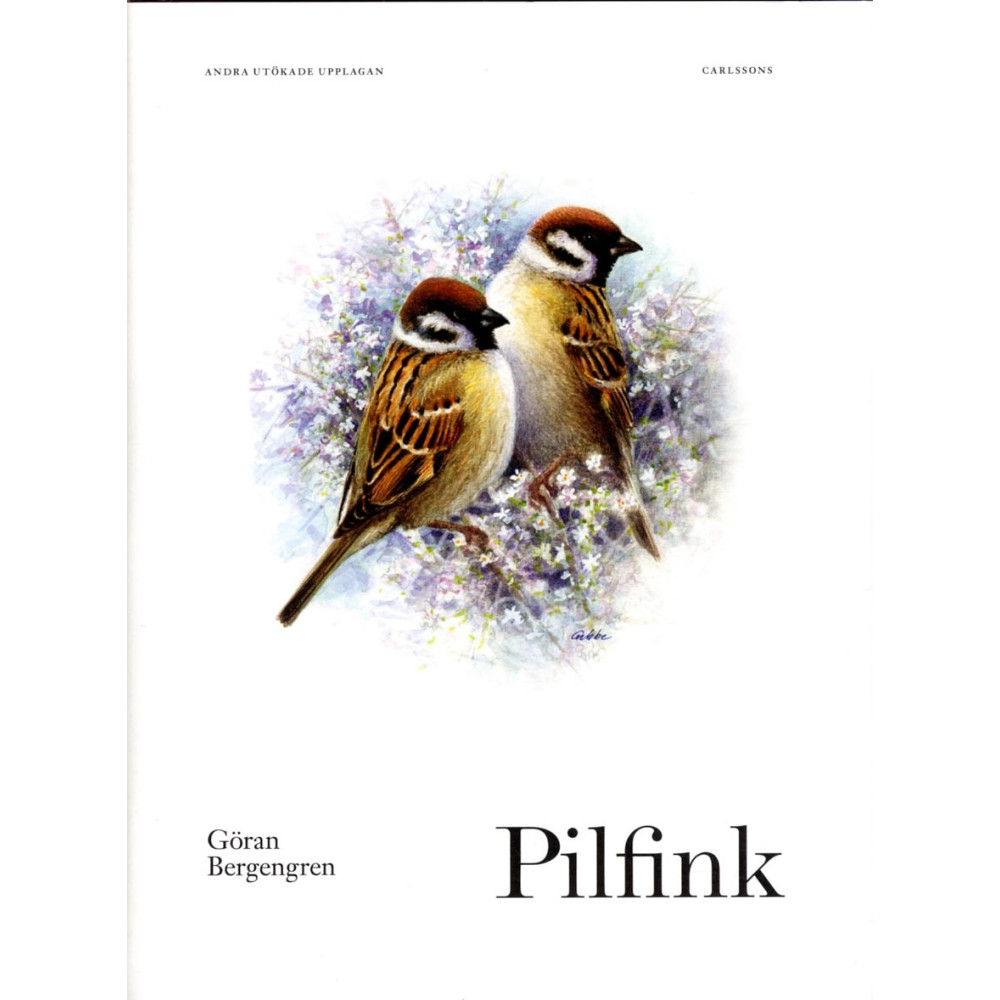 Produktbild för Pilfink (inbunden)