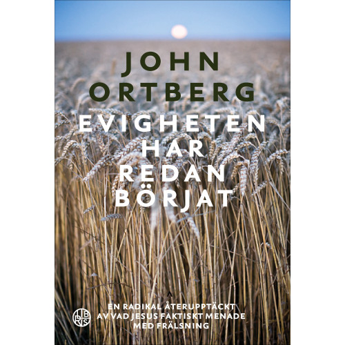 John Ortberg Evigheten har redan börjat : en radikal återupptäckt av vad jesus faktiskt menade med frälsning (inbunden)