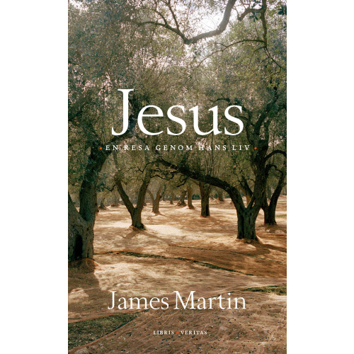 James Martin Jesus : en resa genom hans liv (pocket)