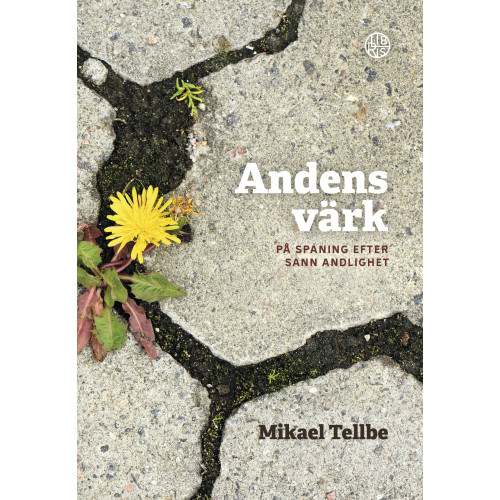 Mikael Tellbe Andens värk : på spaning efter sann andlighet (bok, danskt band)