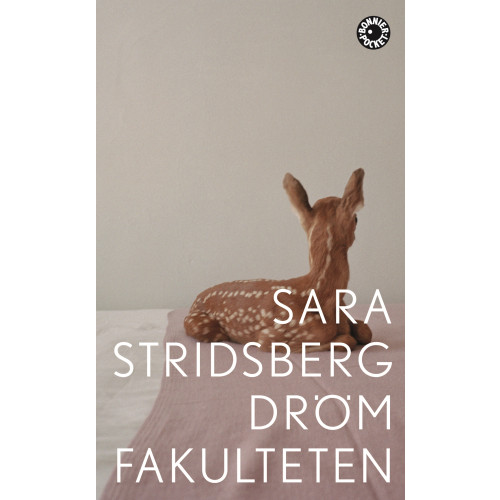 Sara Stridsberg Drömfakulteten : - tillägg till sexualteorin (pocket)