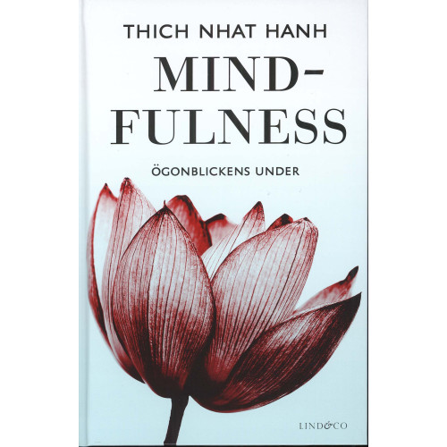 Thich Nhat Hanh Mindfulness : ögonblickens under (bok, kartonnage)