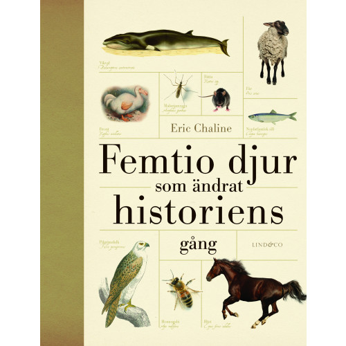 Eric Chaline Femtio djur som ändrat historiens gång (inbunden)