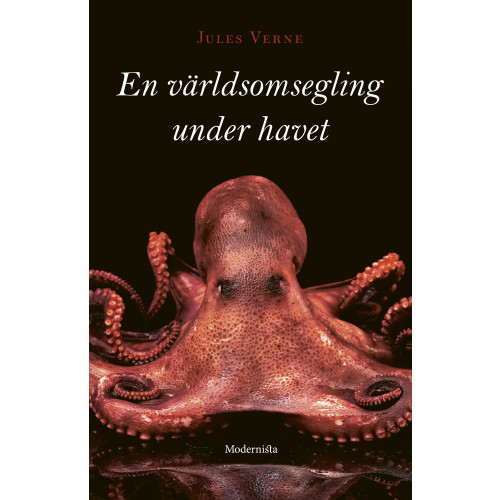 Verne Jules En världsomsegling under havet (inbunden)