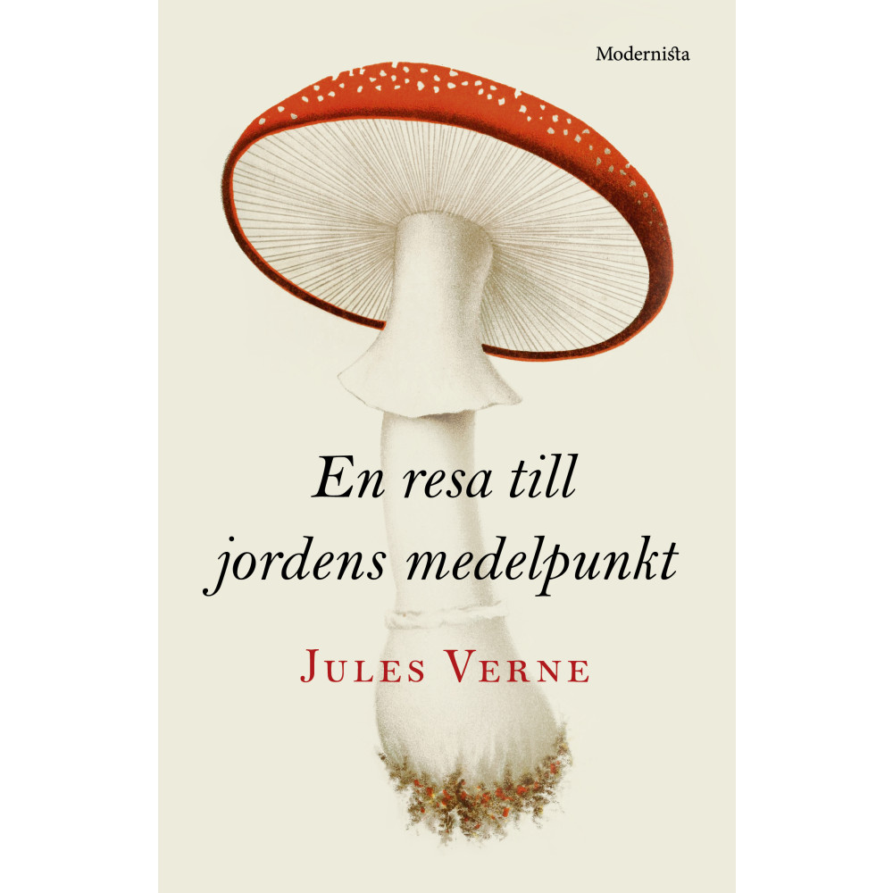 Produktbild för En resa till jordens medelpunkt (inbunden)