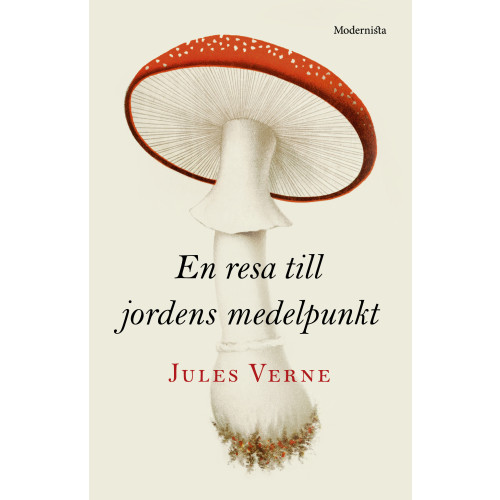 Jules Verne En resa till jordens medelpunkt (inbunden)
