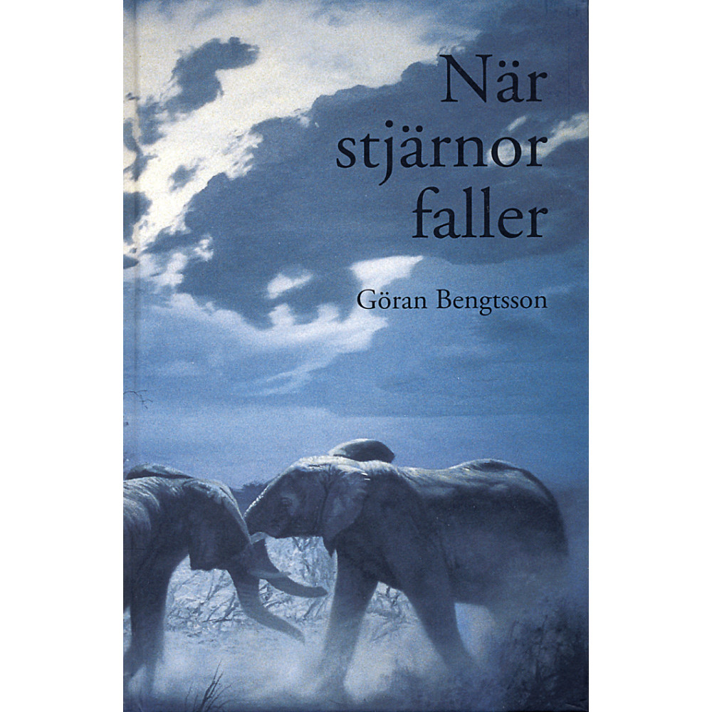 Produktbild för När stjärnor faller (inbunden)