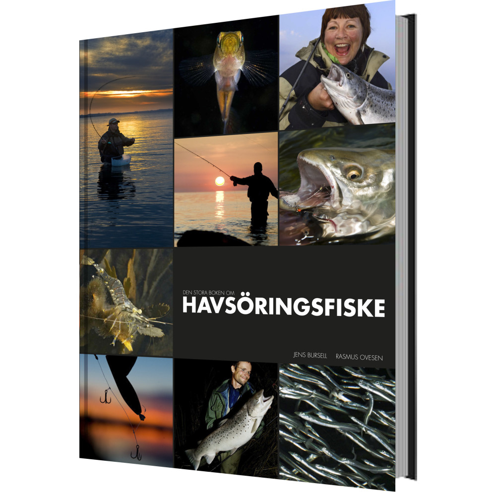 Produktbild för Den stora boken om havsöringsfiske (inbunden)