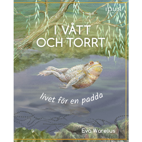 Eva Warelius I vått och torrt : livet för en padda (inbunden)
