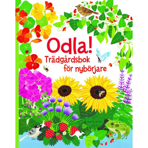 Emily Bone Odla! : trädgårdsbok för nybörjare (bok, spiral)