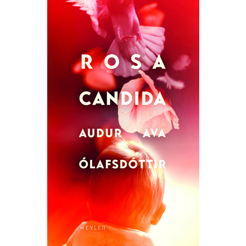 Audur Ava Ólafsdóttir Rosa candida (pocket)