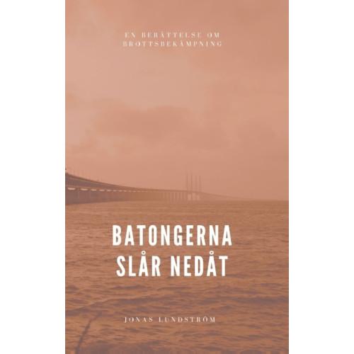 Jonas Lundström Batongerna slår nedåt : en berättelse om brottsbekämpning (häftad)