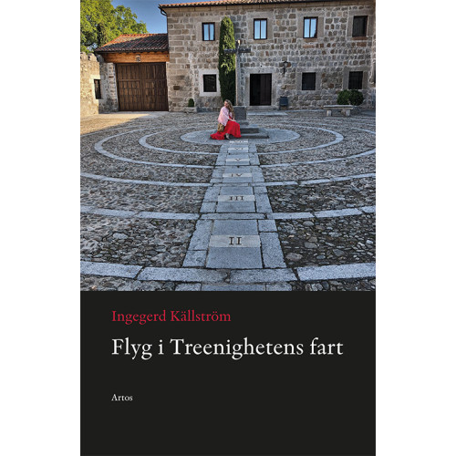 Ingegerd Källström Flyg i Treenighetens fart (bok, danskt band)