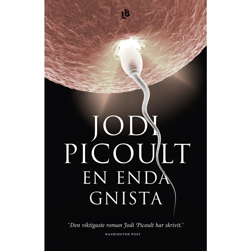 Produktbild för En enda gnista (inbunden)
