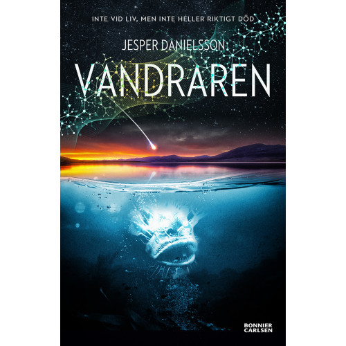 Jesper Danielsson Vandraren (bok, danskt band)