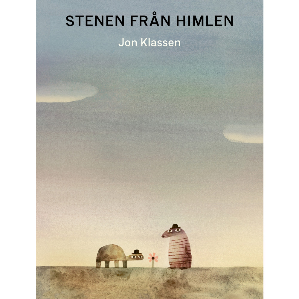 Produktbild för Stenen från himlen (inbunden)