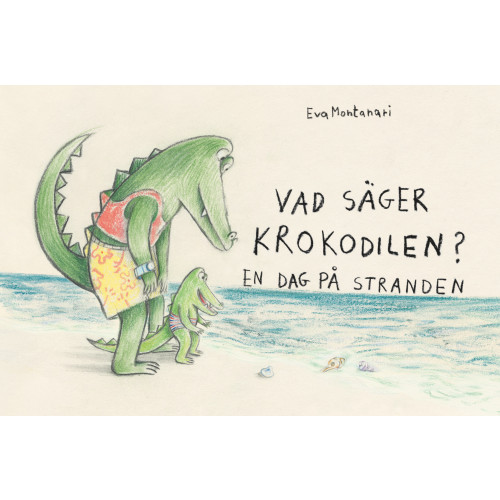 Eva Montanari En dag på stranden (bok, board book)