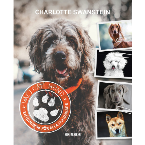 Charlotte Swanstein Välj rätt hund : en handbok för alla hundägare (bok, flexband)