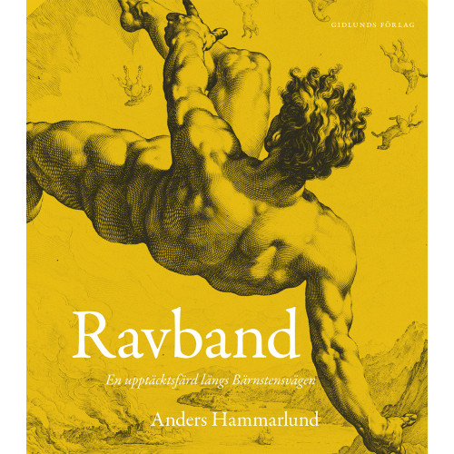 Anders Hammarlund Ravband : en upptäcktsfärd längs Bärnstensvägen (bok, danskt band)